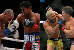 Обзор боев: Гарсия-Варгас, нокаут Гонсалес-Яфаи, скандальная остановка боя в UFC (видео)