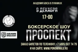 9 декабря в «Академии бокса» в Лужниках пройдет турнир «Проспект», в рамках которого выступит Владимир Мышев