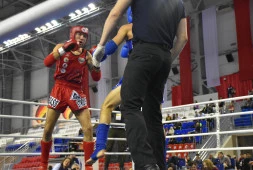 В Перми определятся чемпионы России по тайскому боксу