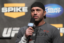 Джо Роган призвал к изменению правил UFC: Они созданы для ударников