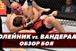 Алексей Олейник vs. Джаред Вандераа / Тяжелый бой / UFC 273 (видео)
