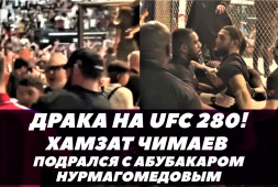 Хамзат Чимаев устроил драку с Абубакаром Нурмагомедовым на UFC 280 (видео)