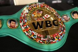 WBC опубликовал рейтинг в новой весовой категории