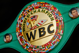 WBC хочет внедрить систему предматчевых взвешиваний