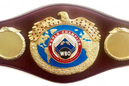 Зак Паркер может провести бой с Джо Райдером за временный титул WBO