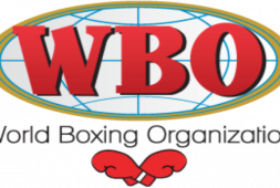 WBO приостанавливает деятельность до середины июня