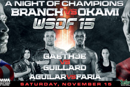 Результаты WSOF 15