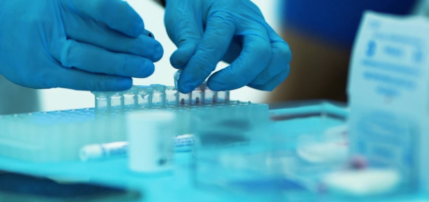 Спортивные комиссии Невады и Калифории договорились о тестировании на коронавирус