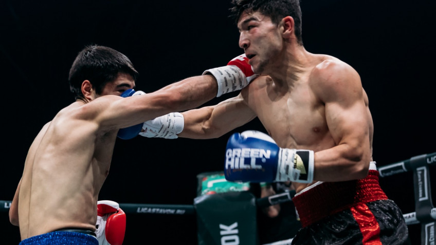 Финал боксерского турнира в Сочи (видео)