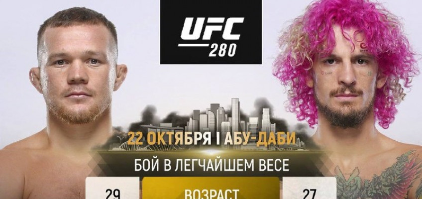 Петр Ян и Шон О'Мэлли проведут бой на UFC 280