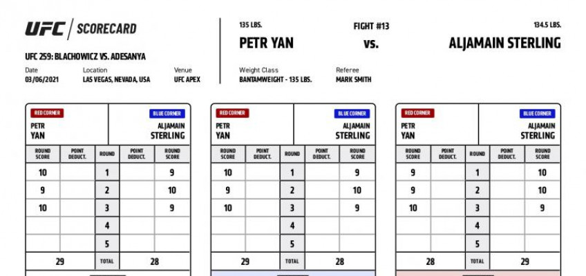 Петр Ян на момент остановки выигрывал бой со Стерлингом на карточках большинства судей