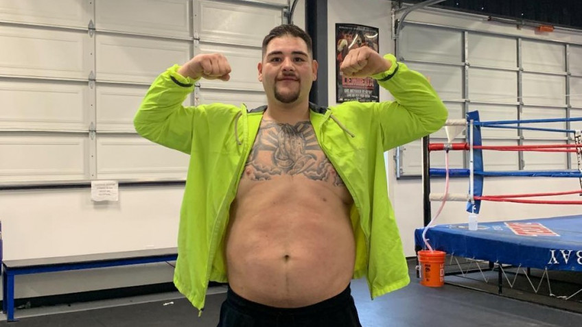 Энди Руис добился боя с Энтони Джошуа через Instagram