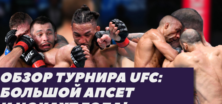 Дикий нокаут и 3 апсета на UFC Vegas | Чикадзе-Барбоза, Кевин Ли, Мурадов (видео)