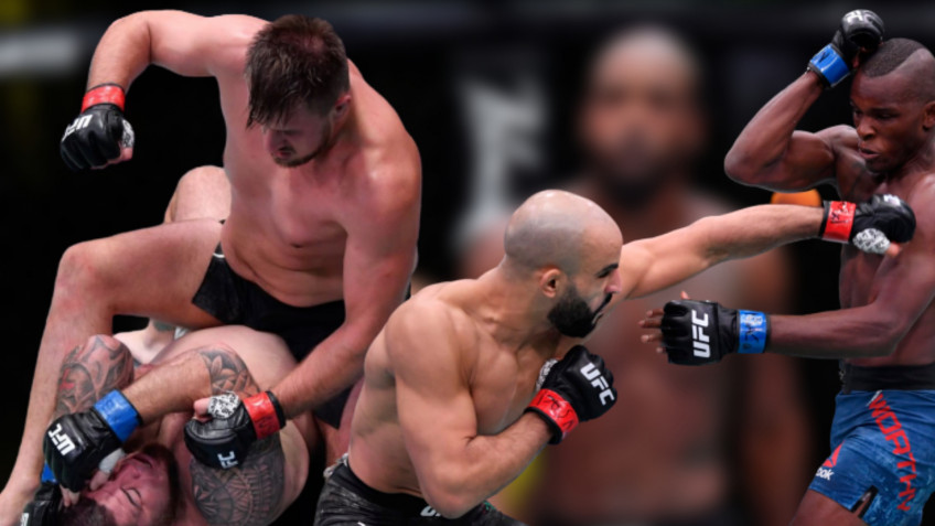 Обзор UFC: Романов-Мартинес, Уотерсон-Хилл (видео)