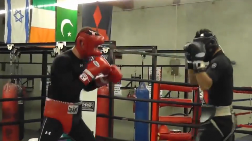 Спарринг Александра Гвоздика