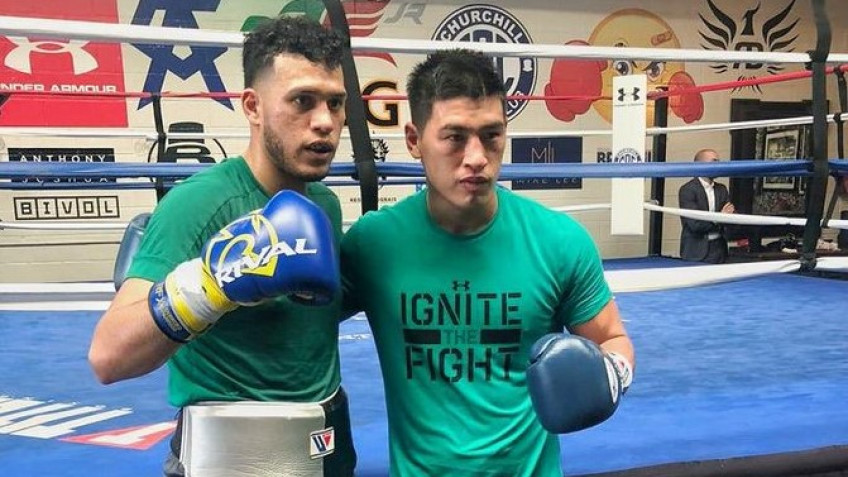  Хирн сообщил, что уже обсуждает бой Бивола и Бенавидеса