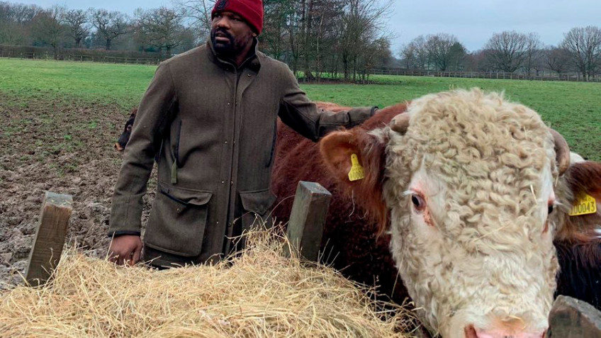 Кадр дня: Дерек Чисора