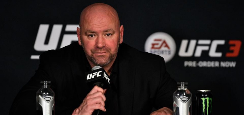 UFC недоплатила бойцам $1,6 миллиарда, утверждают эксперты в суде над UFC