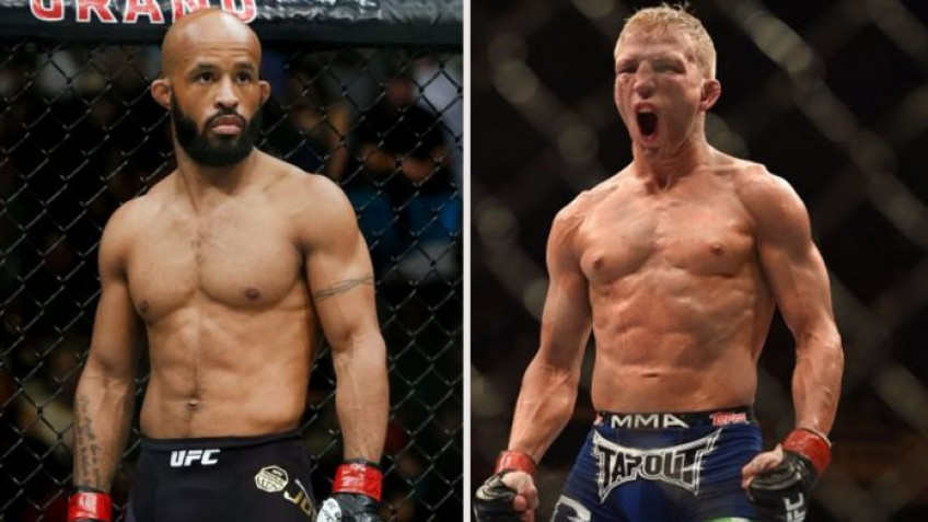 Генри Сехудо: В наилегчайшем весе Джонсон размажет Диллашоу