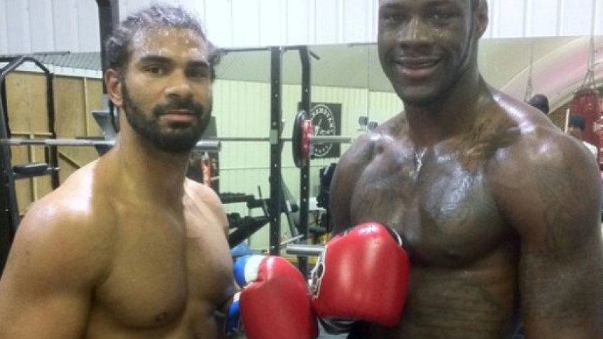 Хэй: Уайлдер нокаутирует Стиверна и сделает это довольно легко