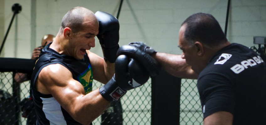 Джуниор дос Сантос: Боксеры делают вид, что они лучше бойцов ММА, но это не так