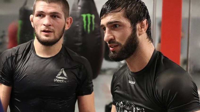 Реакция бойцов на ультиматум Хабиба Нурмагомедова