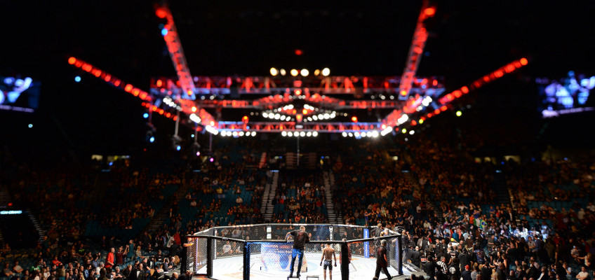 UFC проведет шоу в России в 2015 году?