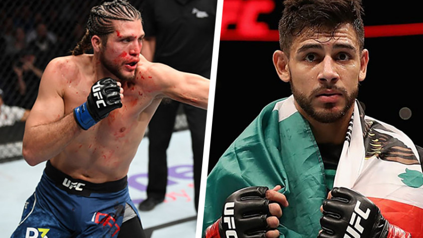 Брайан Ортега и Яир Родригес планируют бой в ближайшее время