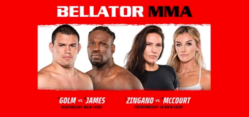 Список участников турнира Bellator 293