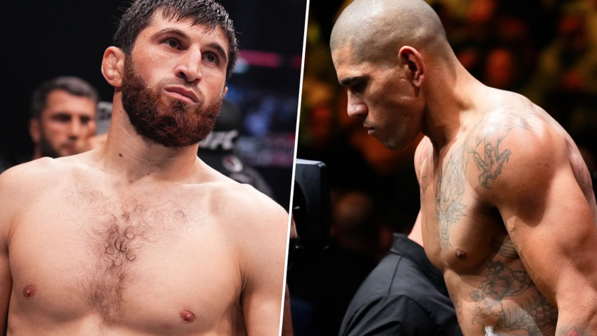 Алекс Перейра: Я не чувствую давления, потому что уже всего добился в ММА