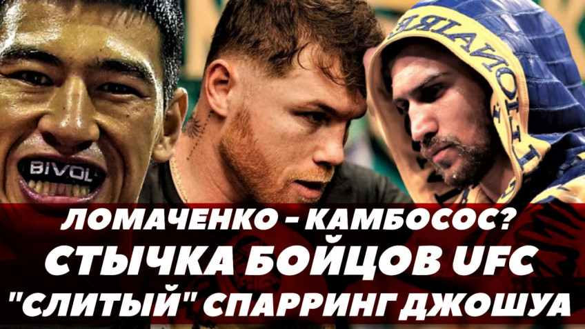 Потасовка бойцов UFC / Бой Ломаченко-Камбосос / Спарринг Джошуа и Джойса (видео)