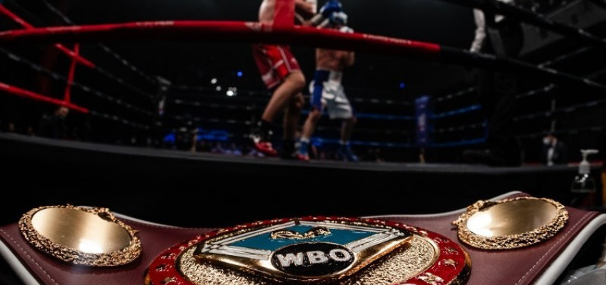 RCC Boxing Promotions проведет отборочный турнир по версии WBO