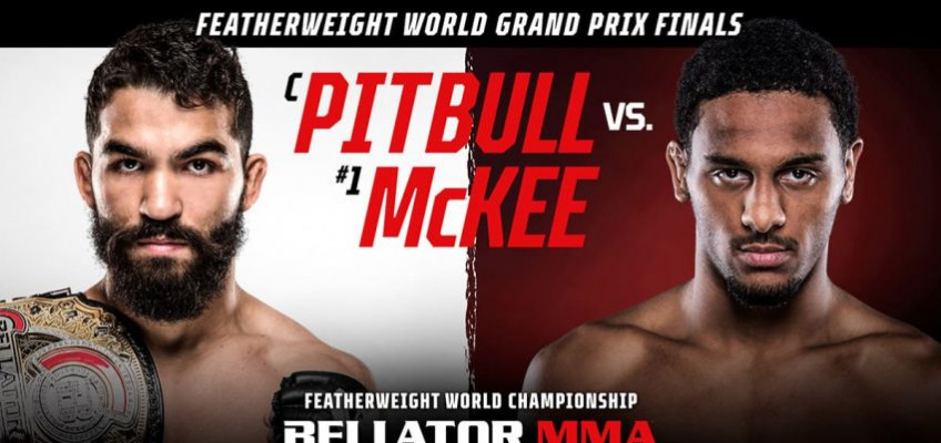 Результаты турнира Bellator 263