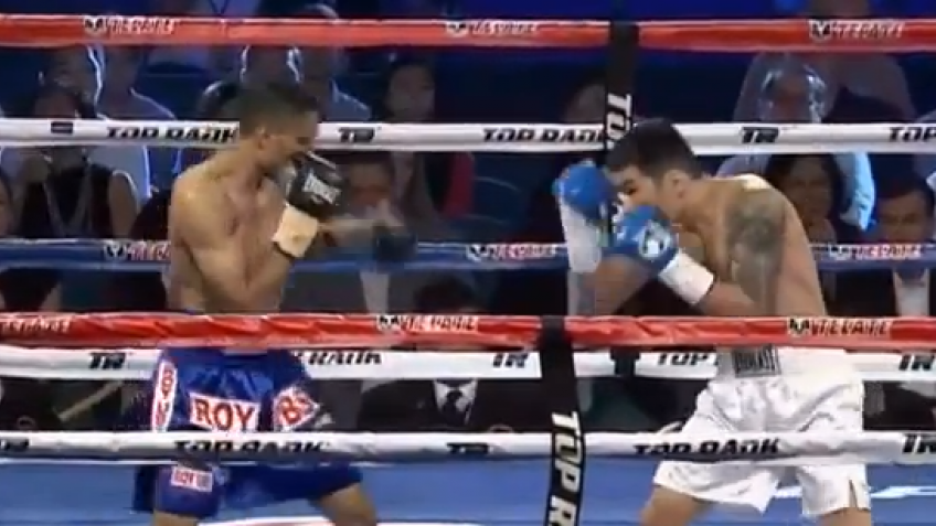 Видеозапись боя Шафиков-Мухлис