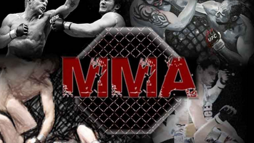 Министерства спорта РФ собирается запретить незаконные турниры по единоборствам