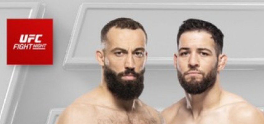 Список участников турнира UFC Fight Night 235