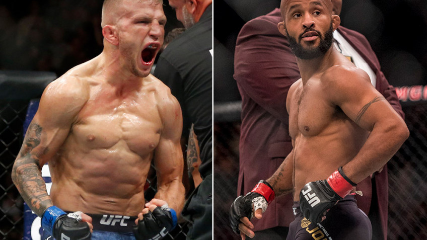 Ти Джей Диллашоу: UFC сказали, что Джонсон боится драться со мной