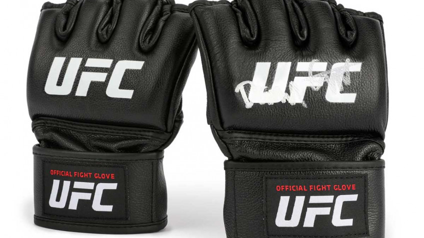 Статистика и рекорды UFC в 2025 году 