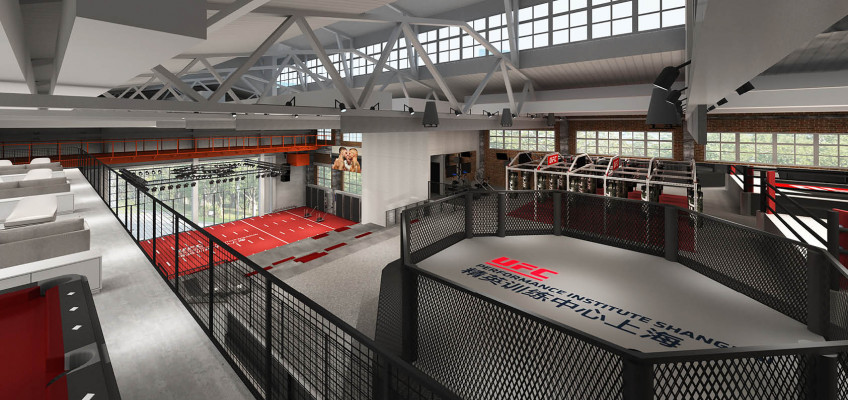 UFC построит тренировочные научные центры в двух странах в 2019 году