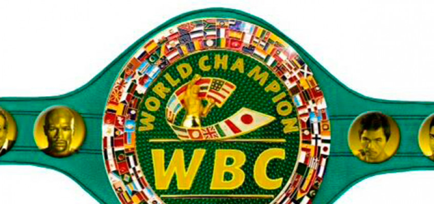 WBC: Боксеры обязаны вступить в анти-допинговую программу