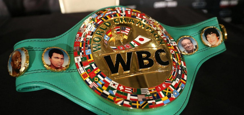 WBC объявил о создании нового веса до 224 фунтов