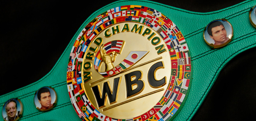 WBC назначил бои за титул и отборочные бои