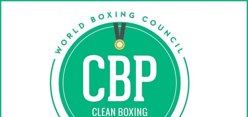 WBC запускает программу «Чистый бокс» для женщин