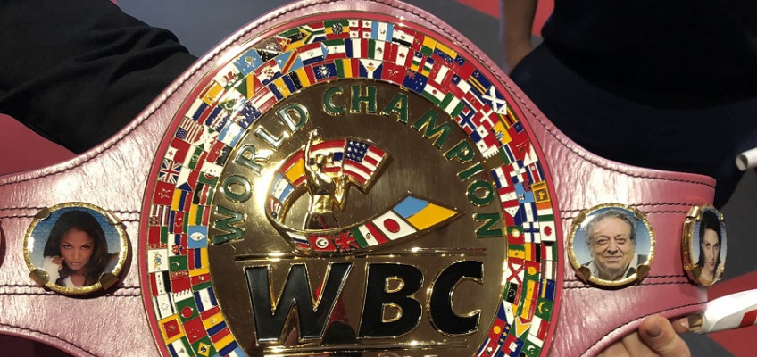 Кадр дня: Пояс WBC для победительницы боя Шилдс–Хаммер