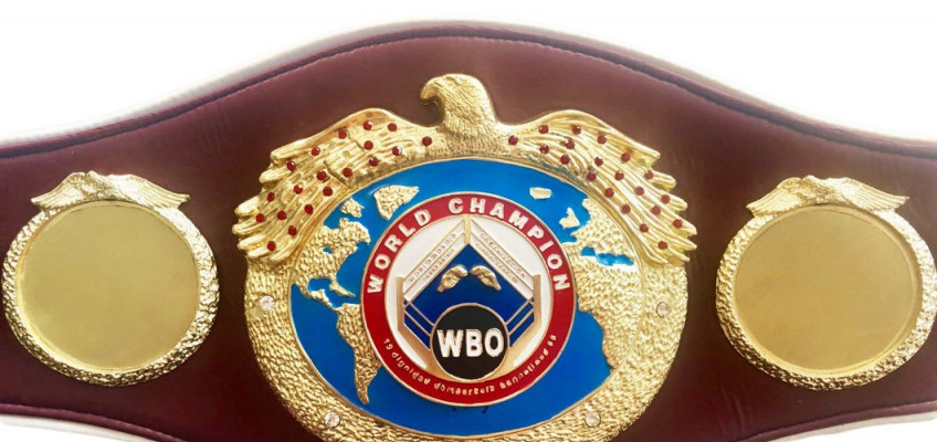 Саламов и Власов могут встретиться в поединке за пояс WBO