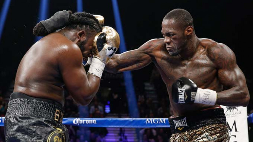 Видеозапись боя Стиверн-Уайлдер