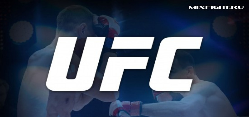UFC и M-1 будут сотрудничать в России