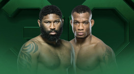 UFC Fight Night: Блейдс-Альмейда, Сантос-Фахретдинов