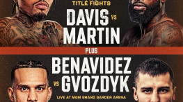 Дэвид Бенавидес vs. Александр Гвоздик
