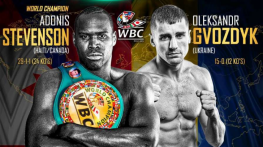 Стивенсон-Гвоздик (Showtime)